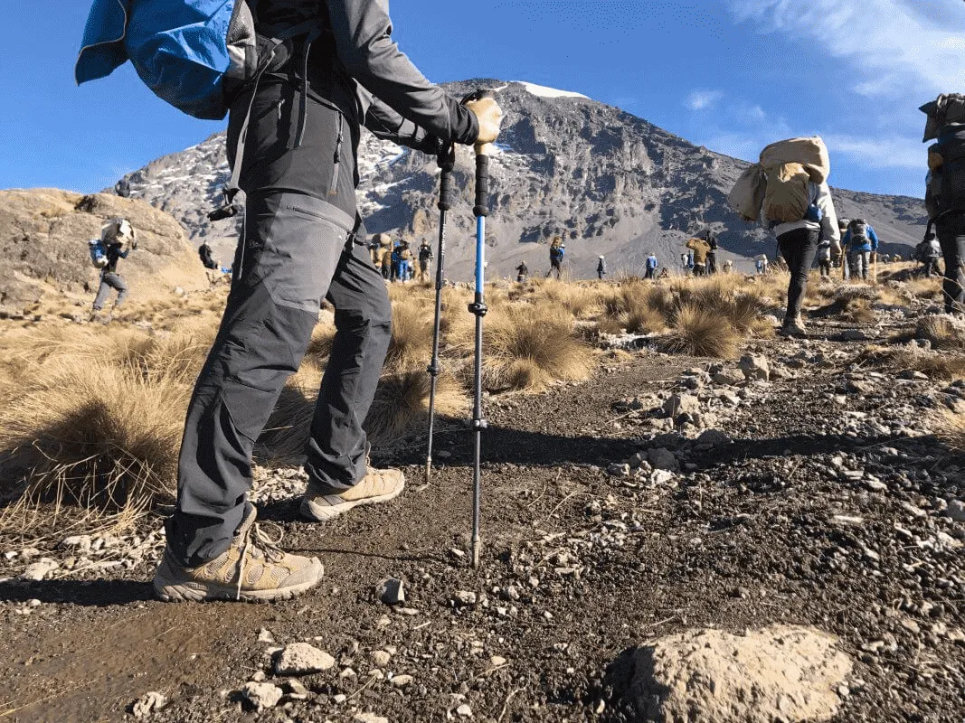 Peregrine Uinta Telescoping Light Aluminum Trekking Pole