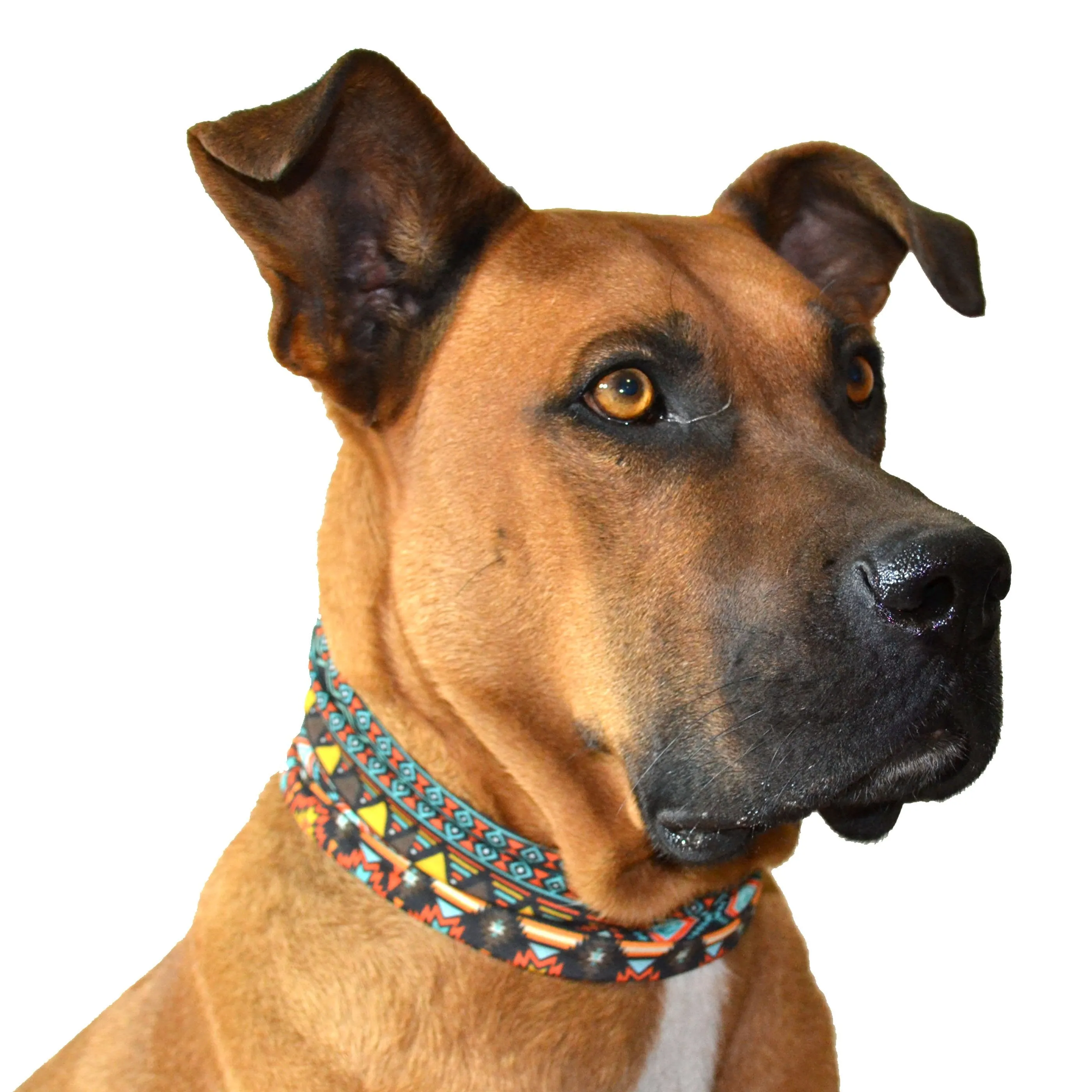 The "Aztec" Tunnel Scarf
